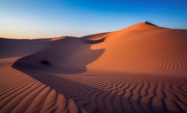 Abu Dhabi Desert Digital Download