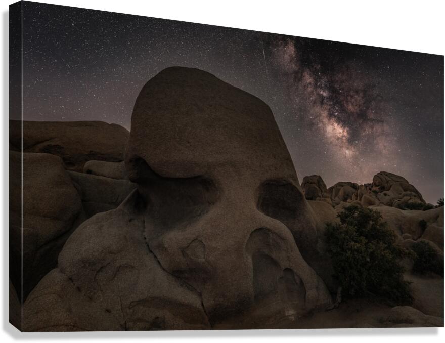 Skull Rock Joshua Tree National Park  Canvas Print