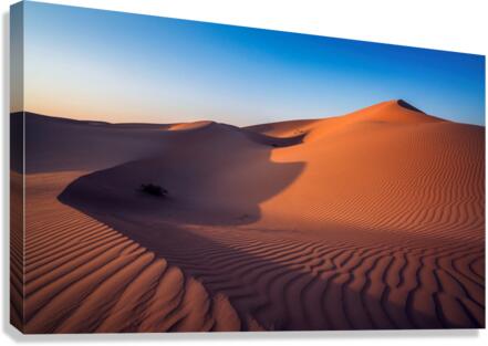 Abu Dhabi Desert  Canvas Print