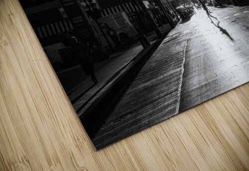 Downtown Chicago Dutch Photographer puzzle