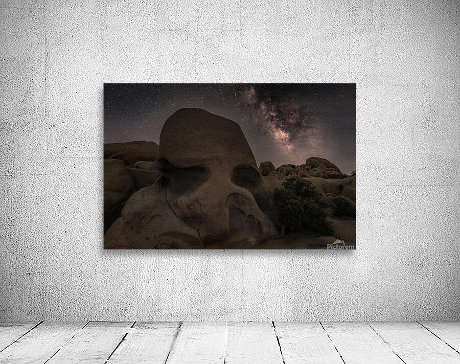 Skull Rock Joshua Tree National Park by Dutch Photographer