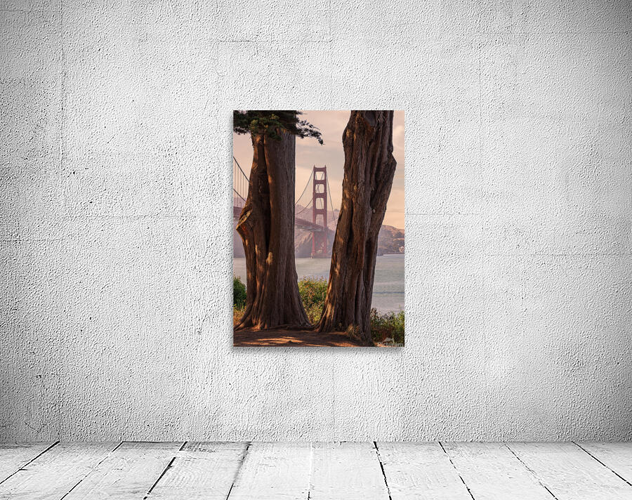 Golden Gate View by Dutch Photographer